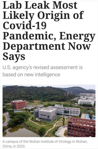 FB_IMG_1677462941173