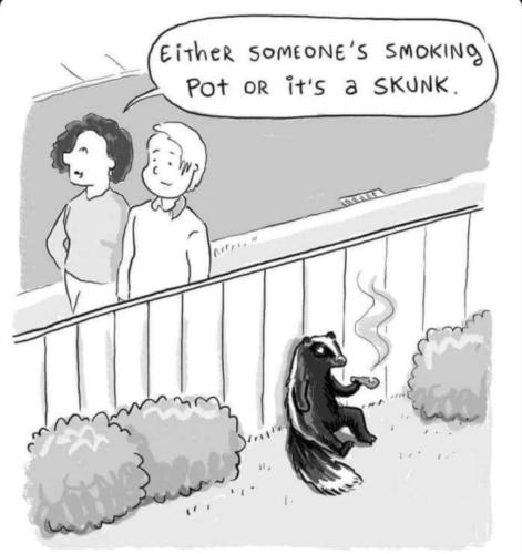 Screenshot_20230202_053219_Facebook