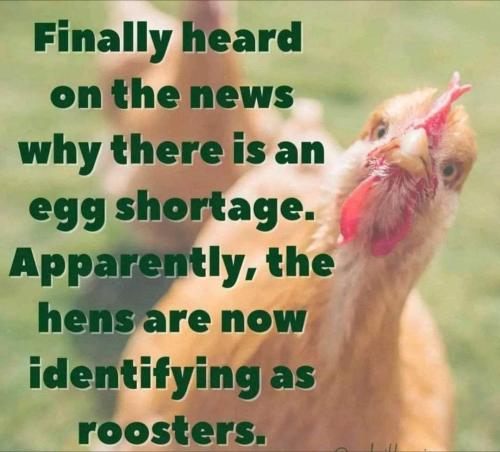 FB_IMG_1675310760118