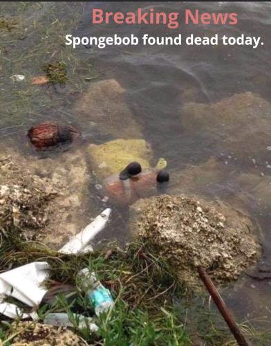 Screenshot_2023-02-12-14-53-20_kindlephoto-355951780