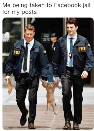 589966de-889f-4bdb-8850-4f9dcb81391f