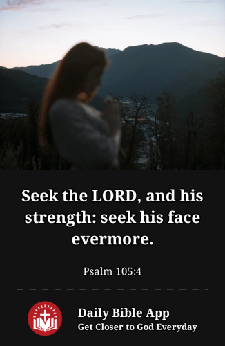 2023-02-021675369071836