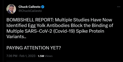 Egg Yolk Antibodies block Covid