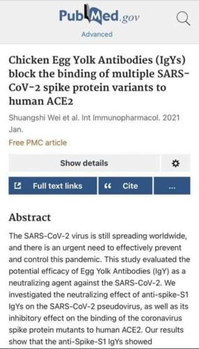 FB_IMG_1675346823195