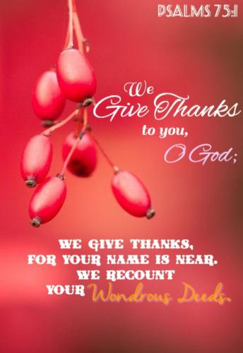 08:44:31 GMT-0500 (EST)