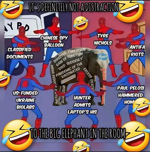 329980215_3004279193212809_4537669765344469123_n