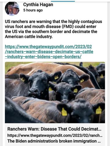 Screenshot_20230205-100352_MeWe