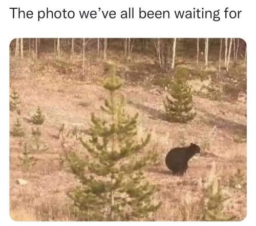 FB_IMG_1677520796364