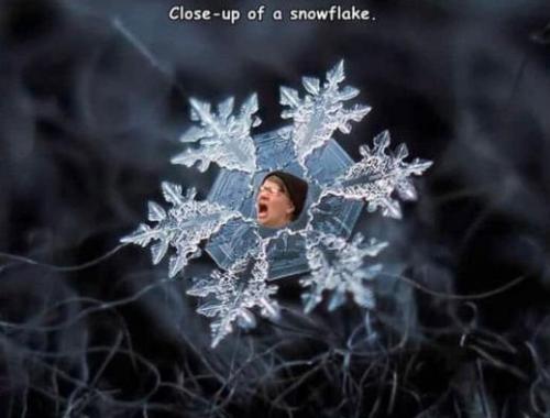 snowflakes207