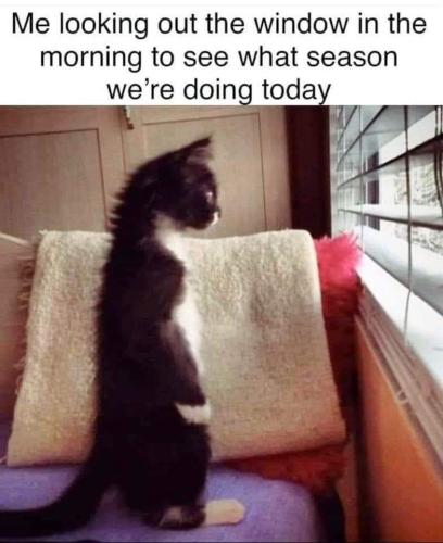 FB_IMG_1676726996014