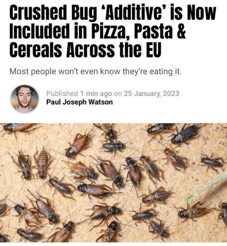 Chitin Crushed Bugs in food now