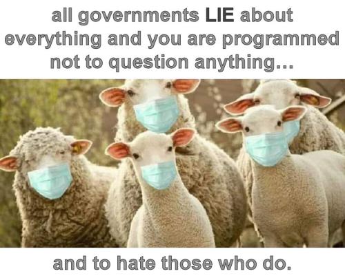 sheeple72