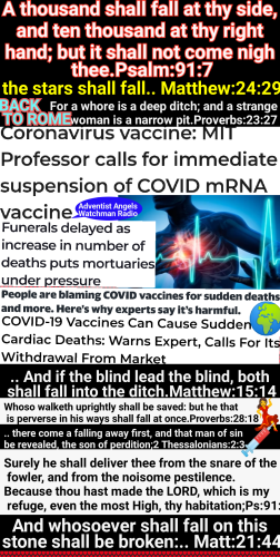 2023-02-01_04-08-43-561