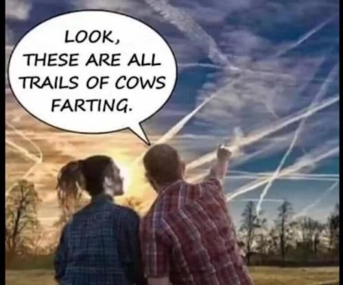 Farting Cows