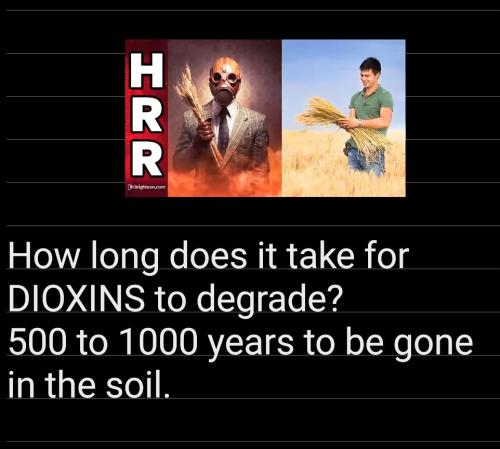 20:17:37 GMT-0500 (EST)