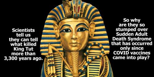 King Tut