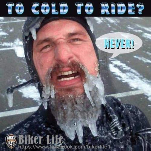 FB_IMG_1675447165404