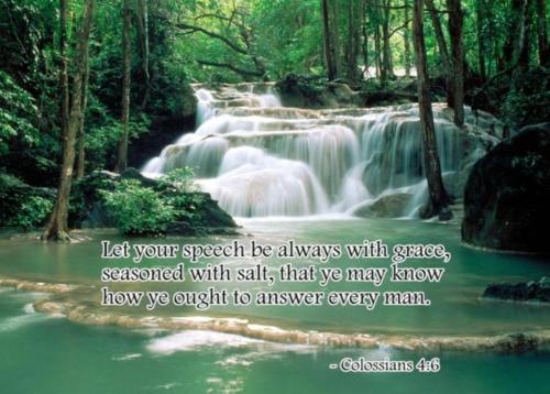 3ea97320-99a2-435b-851e-757df38893d9