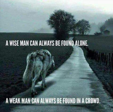 FB_IMG_1676757512921