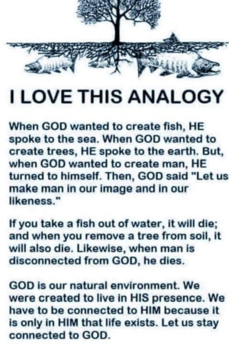 Screenshot_20230202-103034~2