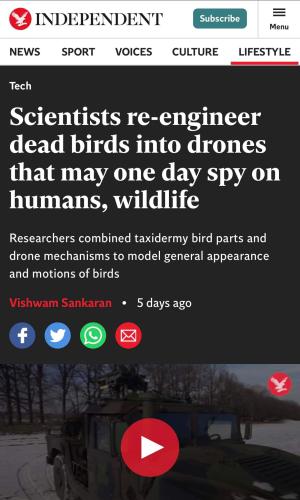 dead bird drones
