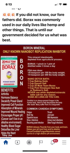 Borax Boron Nanobot Replication Inhibitor