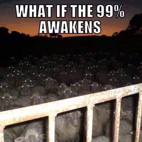 received_1608918416227896