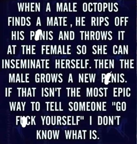 FB_IMG_1677097063288