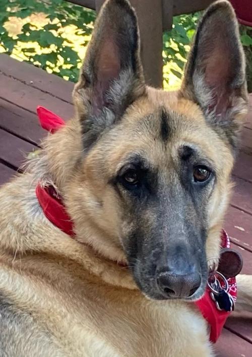 7E23DC43-8D48-42B4-9A7D-ADFD0386326E