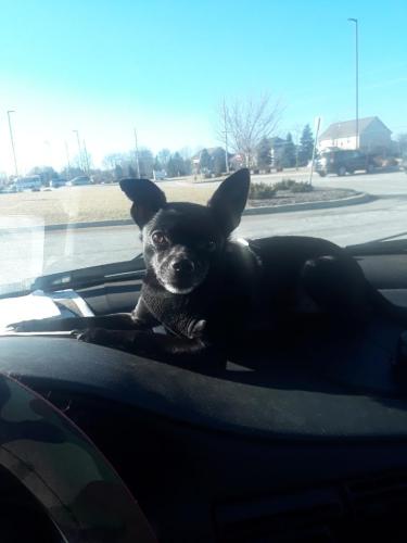 0803b4f3-eae9-4fb4-bbf1-265f6edb5313