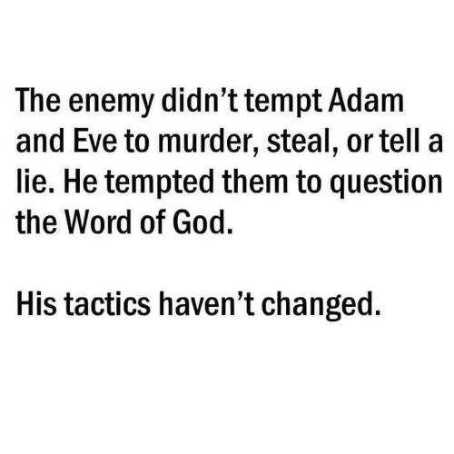 fadb62bd-b562-4af1-96cc-3782136fe2b5