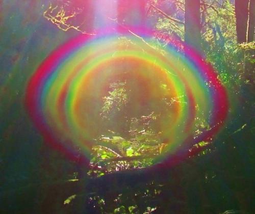 51cCp52jAWL._AC_AC_SR98,95_