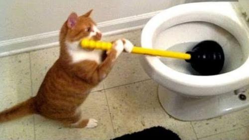 maxresdefault-1-768x432