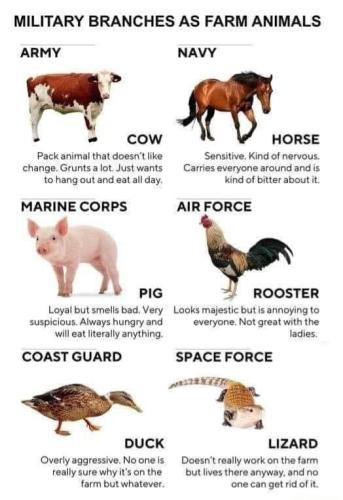 333370724_519085463714324_4638206435910409600_n