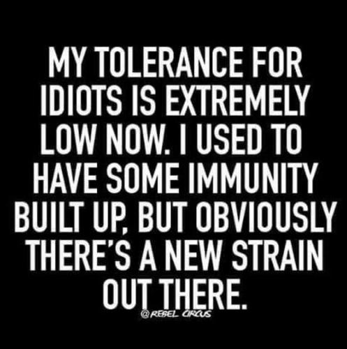 FB_IMG_1675647200523