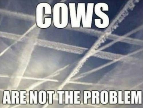 chemtrails164