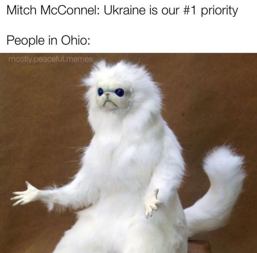 Screenshot_20230217_174906_Instagram