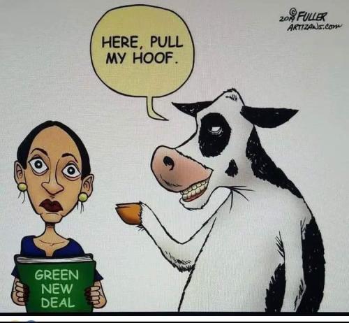 FB_IMG_1677578929382