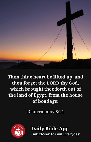 2023-01-311675217551172