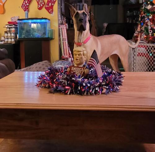 f3fa57ed-c1bf-43de-90e0-e2a7c1965ae5