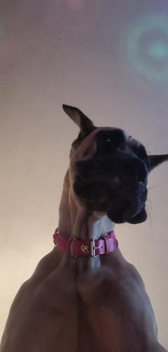 f22eb516-689b-4fd5-b8fd-04ffc74d371d