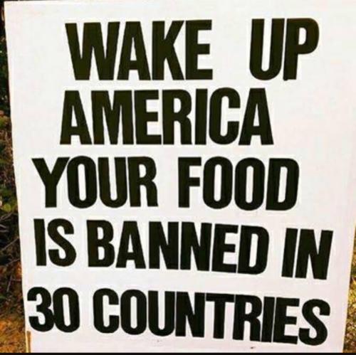 Screenshot_20230212_204824_YouTube