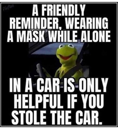 FB_IMG_1677248104917