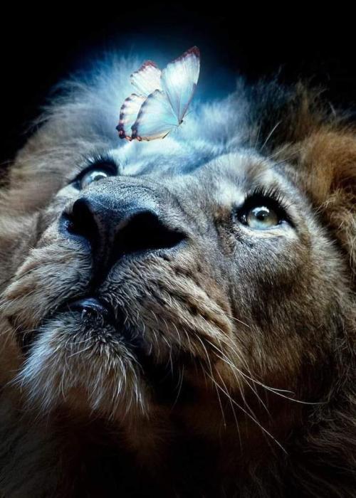 FB_IMG_1675572803804