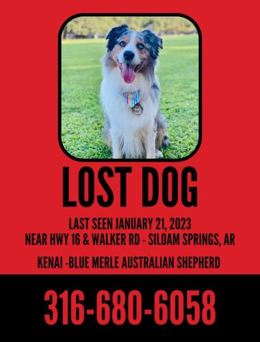 IMG_20230203_191623_744