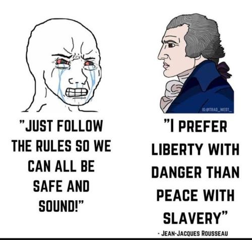 Screenshot_20230203_233118_YouTube