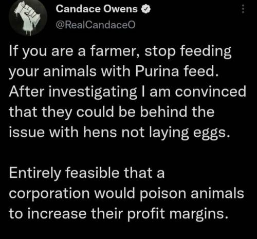 Screenshot_20230203_232644_YouTube