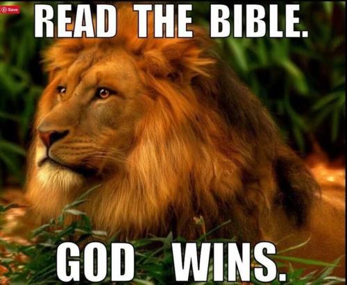 IMG_20230221_043118_313