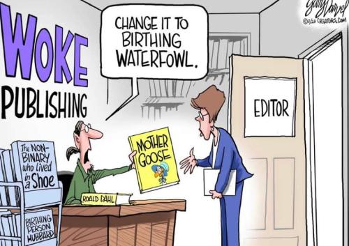 FB_IMG_1677229253700