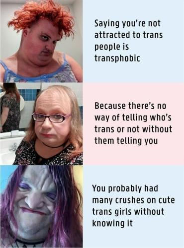trans attracted